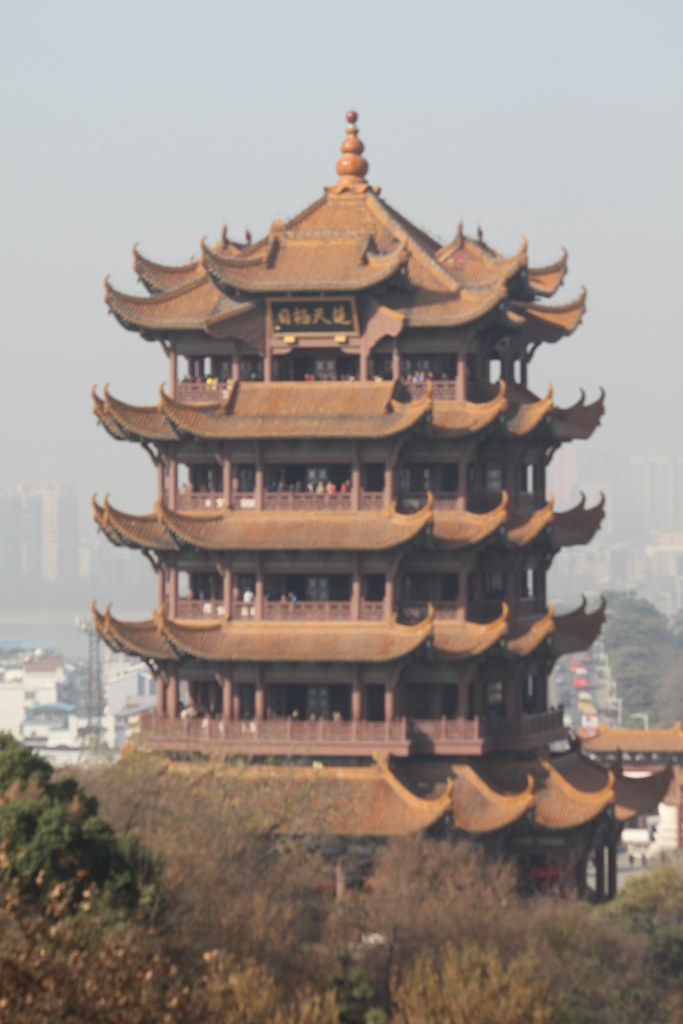 太平猴魁别乱泡，水温低了香味出不来